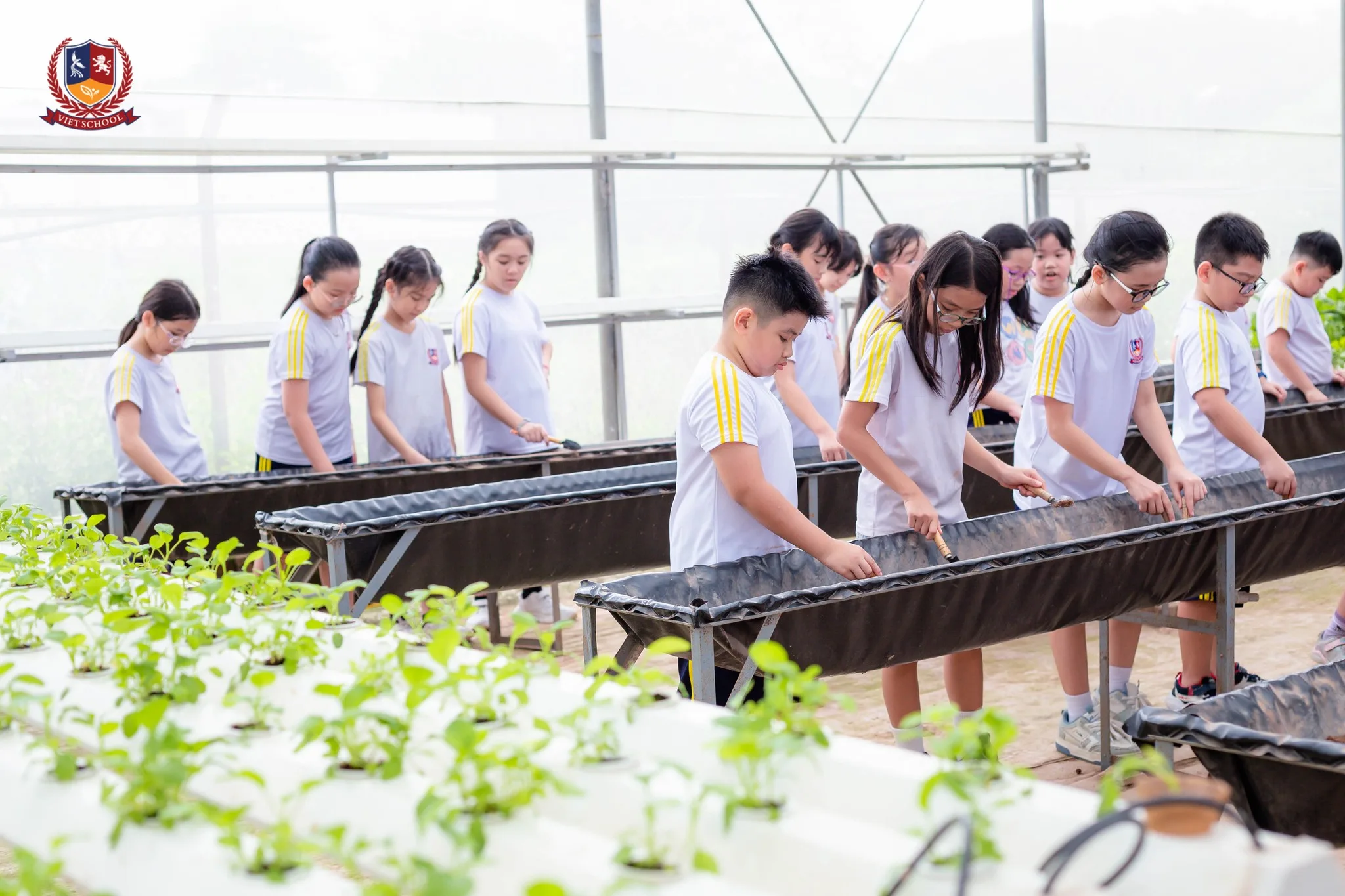 ưu tiên các hoạt động thực hành