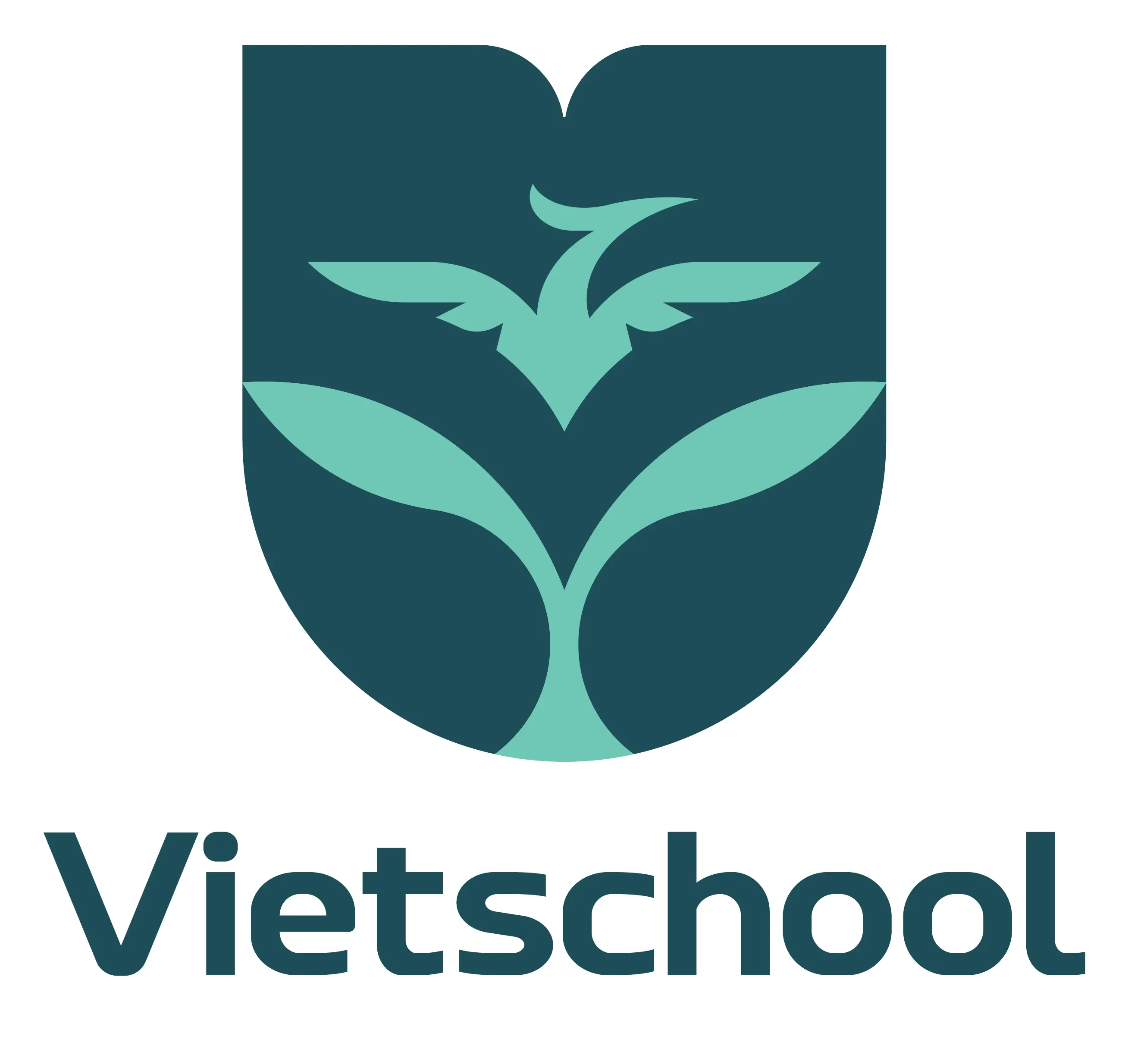 Vietschool